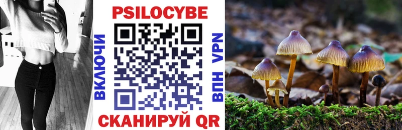 Купить закладки  Нефтекумск  Псилоцибиновые грибы Cubensis 